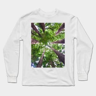 Looking up into Redwood trees Long Sleeve T-Shirt